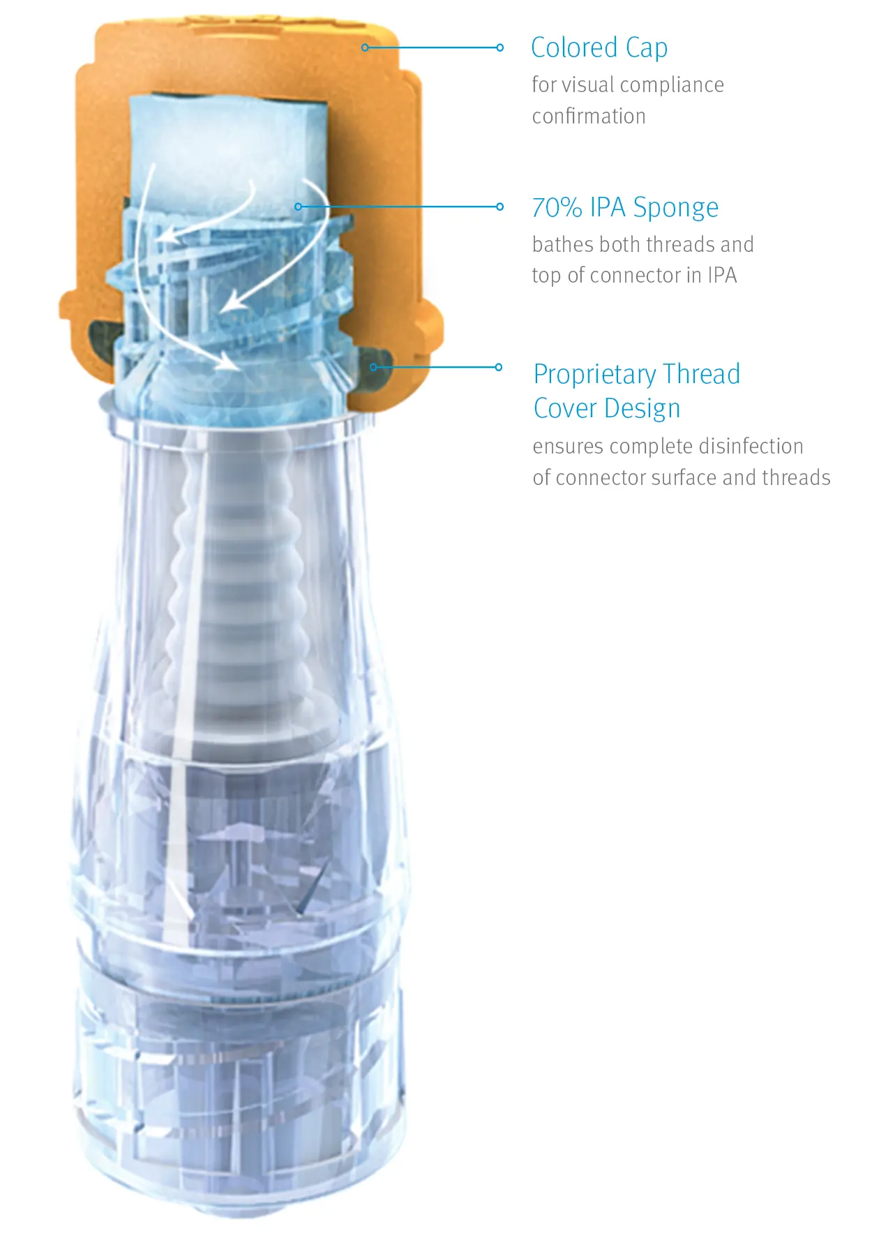 Large portrait swabcap diagram